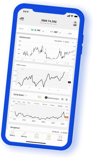 Sterk Winsteruur digitale webapplicatie op mobiel apparaat